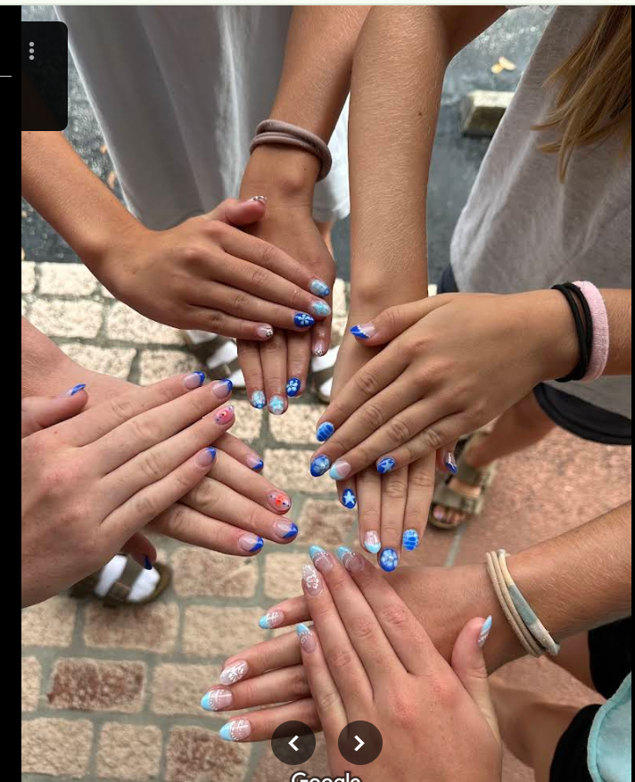 Cần Thợ Nail Khu Sang Đông Đúc – Palm Harbor, Florida